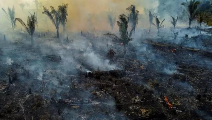 Fires deforestation