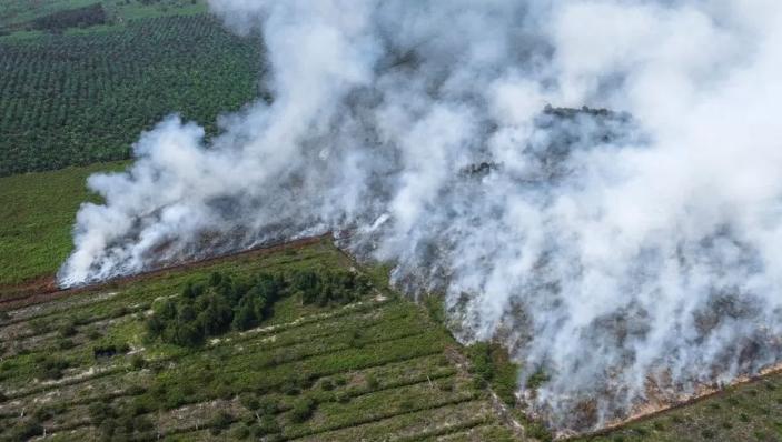 Indonesia has stepped up fire monitoring and restricted new palm plantations