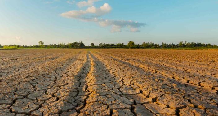 Drought is significantly affecting Spain, Italy, and France