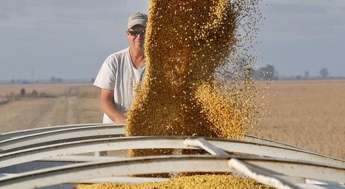 How U.S. soybeans influence global economics