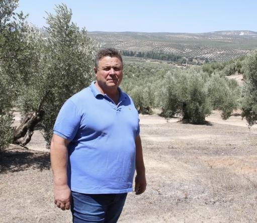Pepe Gilabert in his olive grove