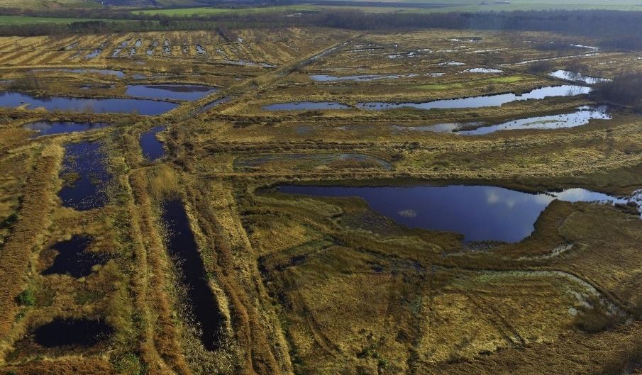 Rewetting peatland is good for the climate